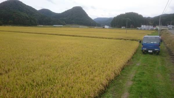 平成27年産あきたこまち玄米30kg