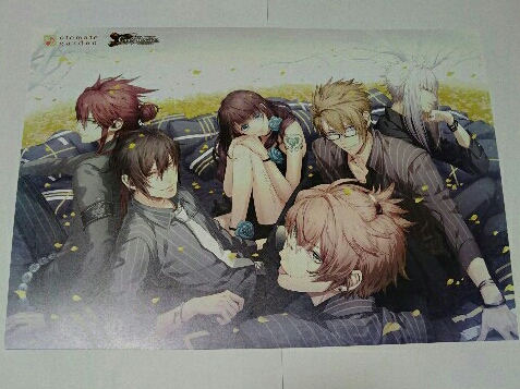 code:realize オトメイトガーデン ランチョン シクレA F 12枚 Code:Realize オトメイトガーデン ランチョンマット シクレ コミック
