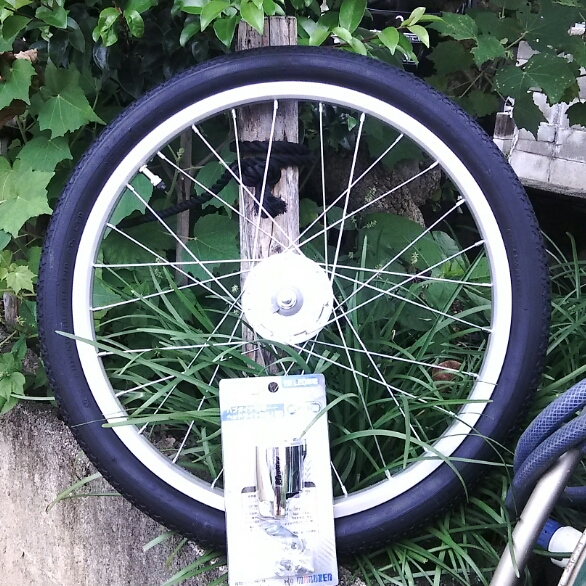 s521955128.3