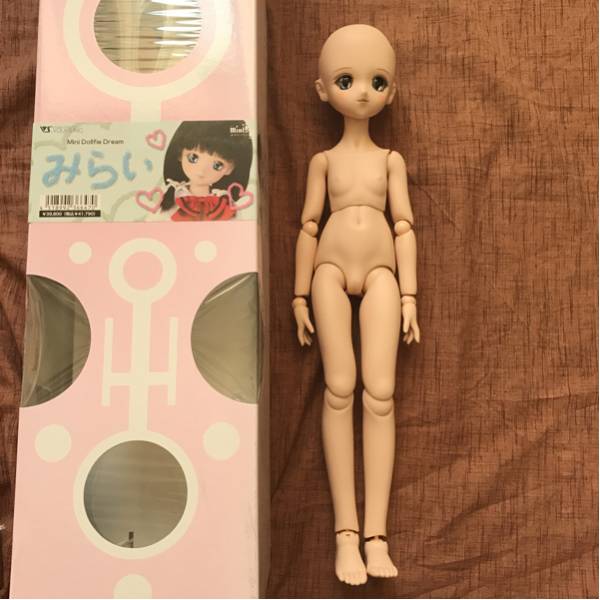 MDD みらい 本体 ドルフィードリーム