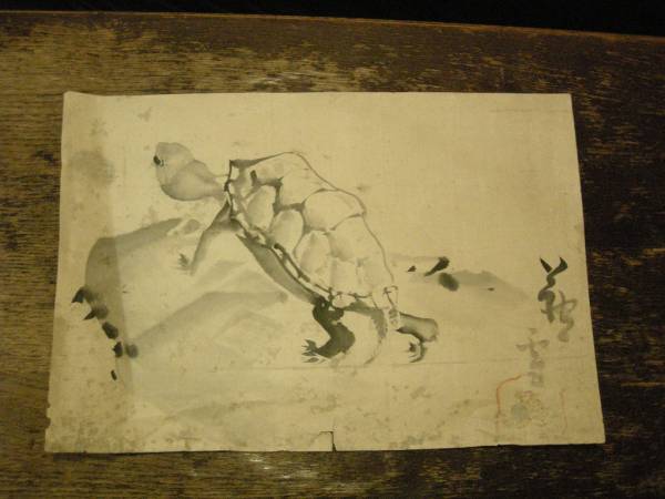 古い掛け軸のまくり　亀之図　芦雪筆