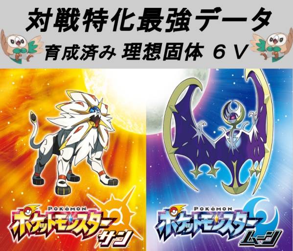 ポケモン サンムーン 対戦特化 理想固体6V 新品ソフト付き ポケモン