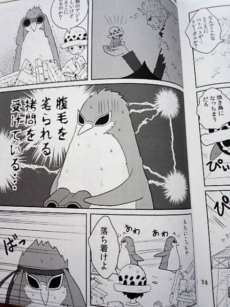 ワンピース トラにゃんこ さぶれ ペンギンローは 2 ドフロ One Piece 売買されたオークション情報 Yahooの商品情報をアーカイブ公開 オークファン Aucfan Com
