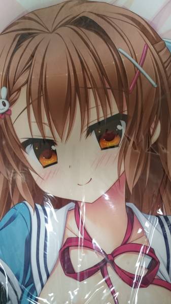 花咲ののか 抱き枕カバー 花咲ワークスプリング ほんたにかなえ 抱き枕 売買されたオークション情報 Yahooの商品情報をアーカイブ公開 オークファン Aucfan Com