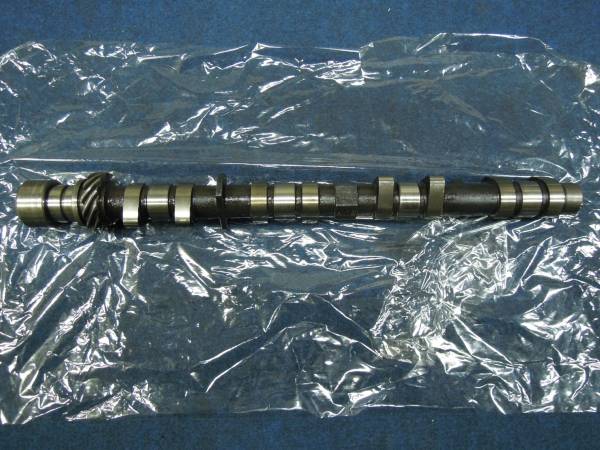 m229305644.1
