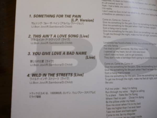 BON JOVI SOMETHING FOR THE PAIN_2