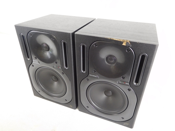 B2030A BEHRINGER TRUTH ペア Behringer Truth モニタースピーカー