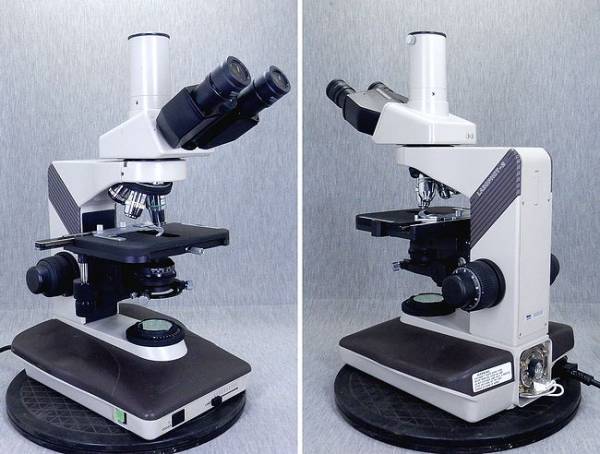 ニコンラボフォト顕微鏡実験研究ラボ検査用100倍～1000倍 1 