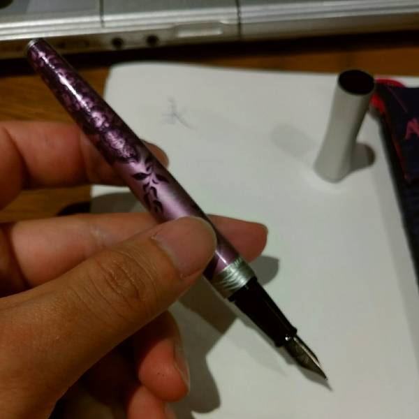 万年筆 WATERMAN ウォーターマン | 詳細ページ エキスパート