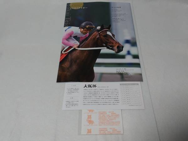 ★現地的中馬券★第61回 大阪杯 ＧⅠ 優勝馬 キタサンブラック 記念デザイン クイックピック 【 入場券 未使用 】【 レープロ 】 送料無料_3