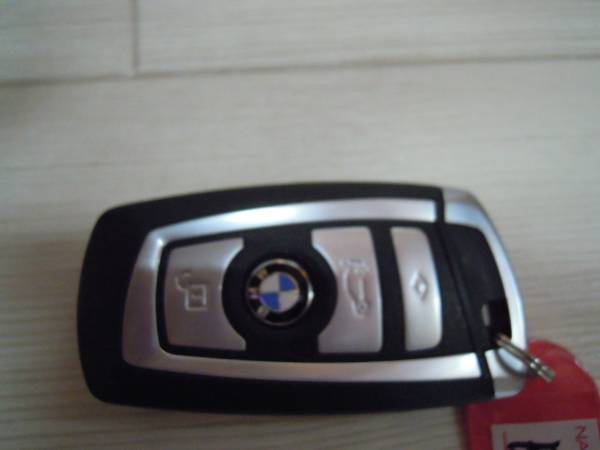 s524981392.1