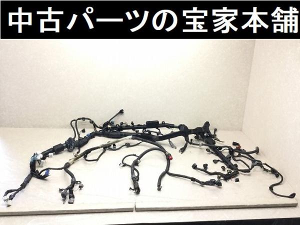 m206827072.1