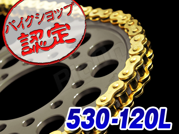 t502585491.1