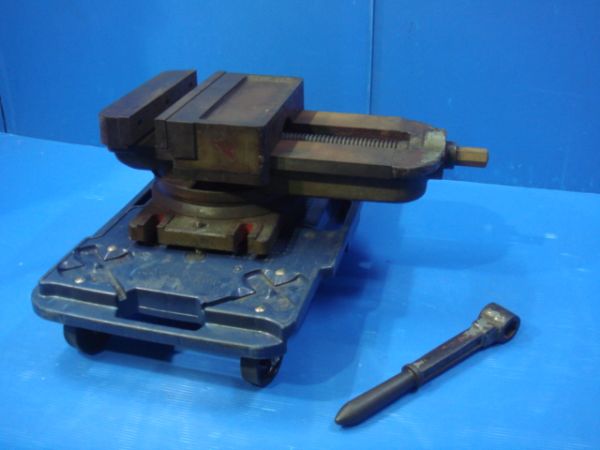g234817573.2