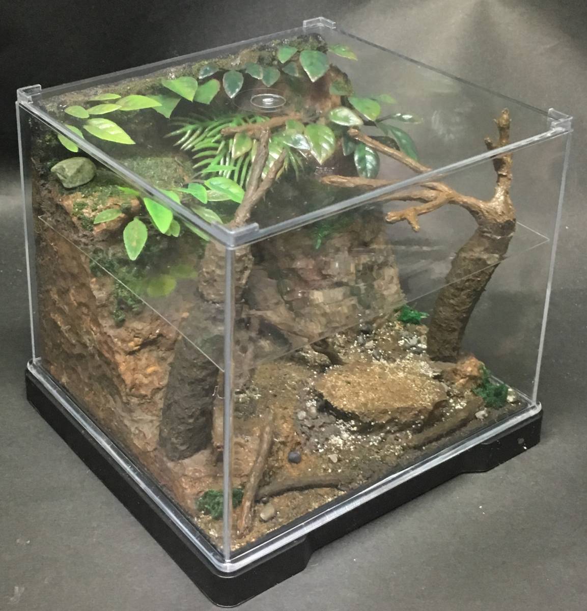 動物フィギュア用ジオラマ 水辺の風景 タガメの棲む池 Miniキューブ61 生き物 売買されたオークション情報 Yahooの商品情報をアーカイブ公開 オークファン Aucfan Com 動物フィギュア用ジオラマ 水辺の風景 タガメの棲む池 Miniキューブ61 生き物 売買されたオークション情報 Yahooの商品情報をアーカイブ公開 オークファン Aucfan Com