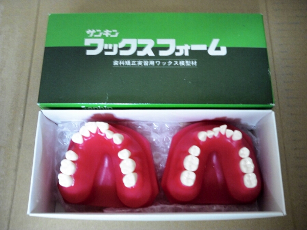 ◇ タイポドント模型/ 歯科矯正実習用咬合器/サンキン/未使用ワックス