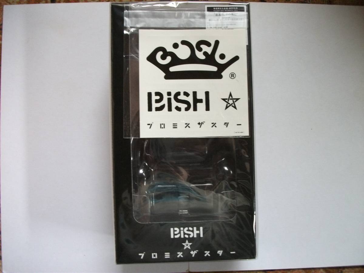 プロミスザスター（数量生産限定－BE＠RBRICK盤）（DVD付 
