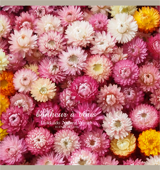 c630172962.2