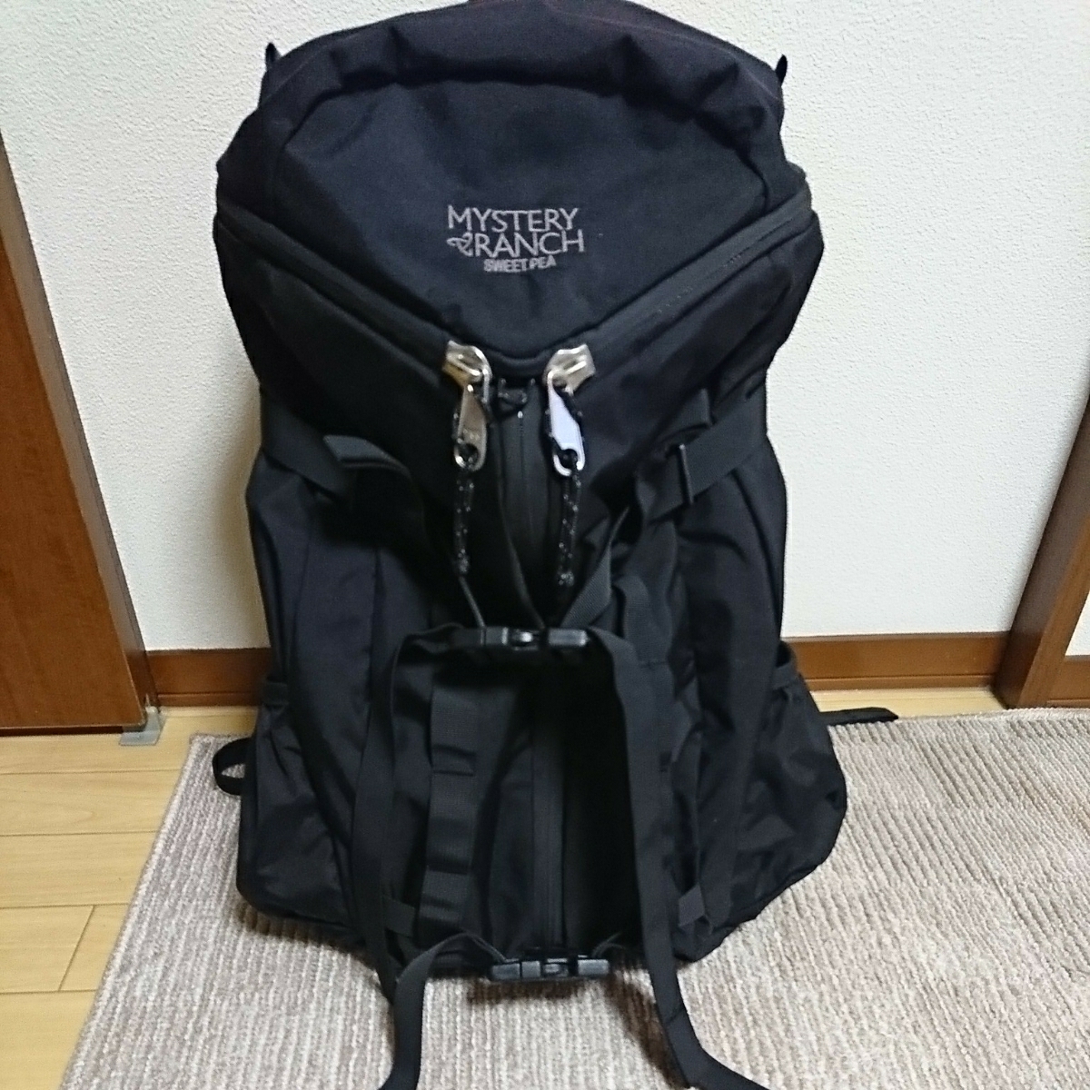 u138298707.1