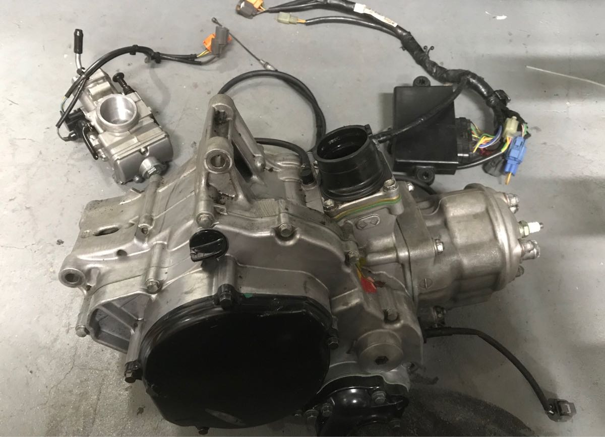 s513673255.1
