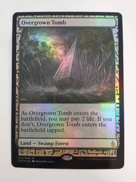 MTG Overgrown Tomb 草むした墓 (A) Zendikar Expeditions EXP013 Foil