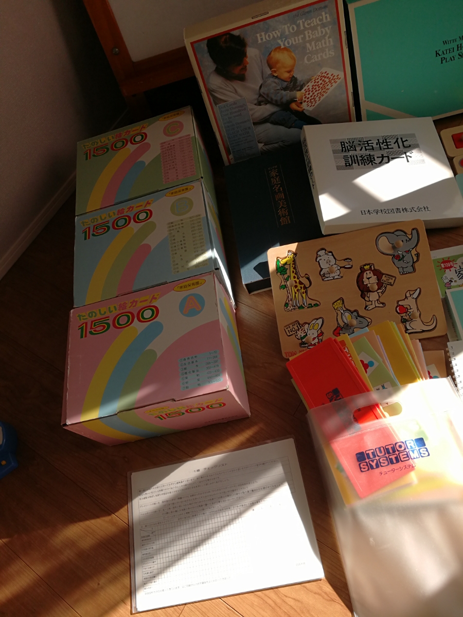 家庭保育園 たのしい絵カード ドッツカード 脳活性化訓練カード セット