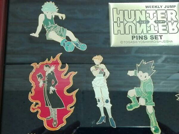 HUNTER×HUNTER ハンターハンター ピンバッチセット 額入り 週刊少年