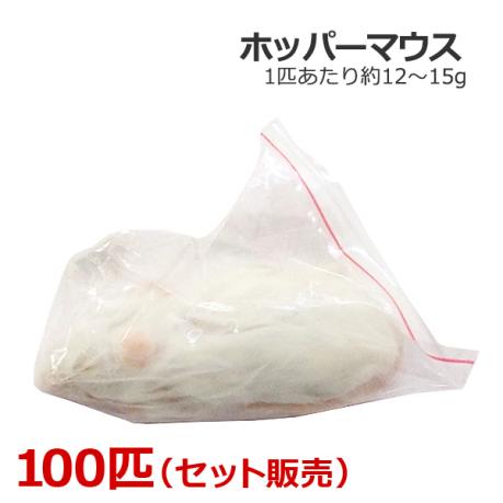 冷凍 ホッパーマウス 100匹 【公式通販】