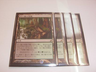 ○MTG 光り葉の宮殿 日 4枚セット○ MTG 光り葉の宮殿