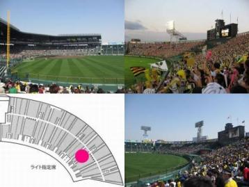 【超良席/通路側2枚】 5/2(水) 年間 ライト外野指定席 阪神vs横浜DeNA 阪神甲子園球場