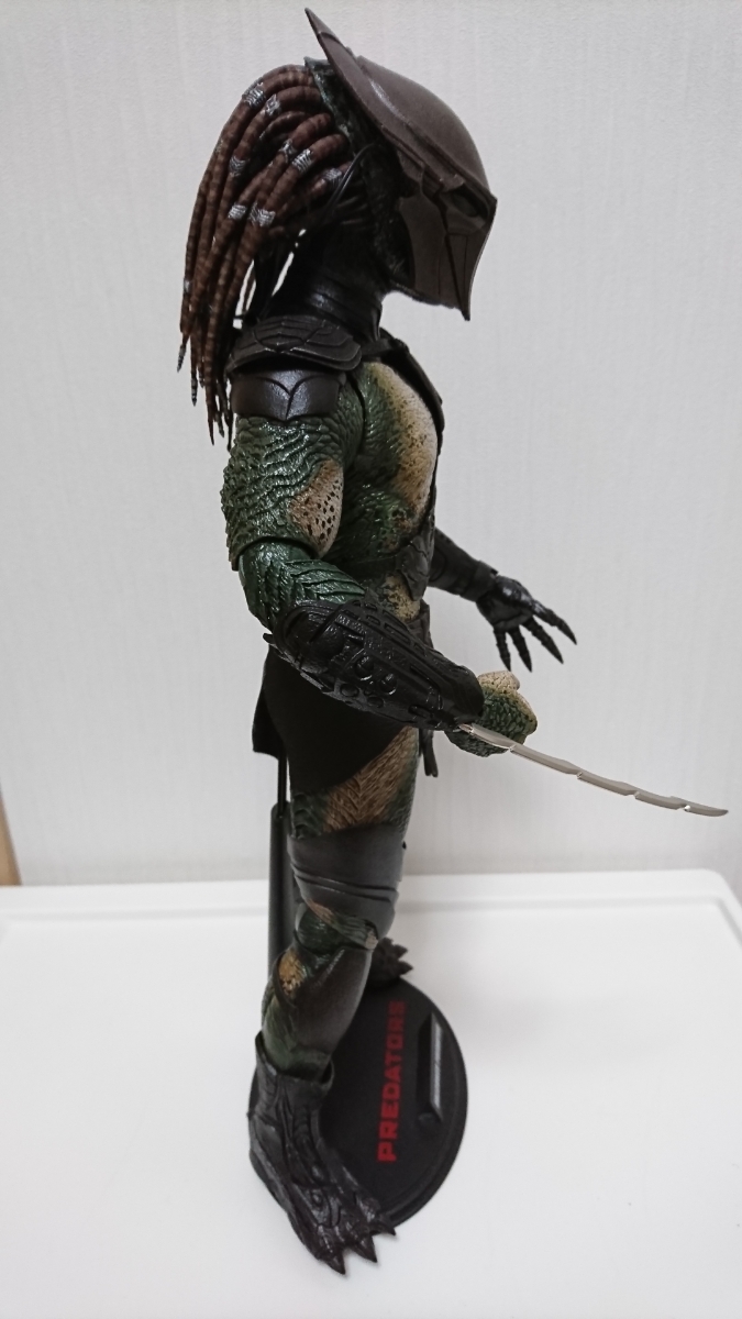 ファルコナープレデター FALCONER プレデターズ PREDATORS ホット