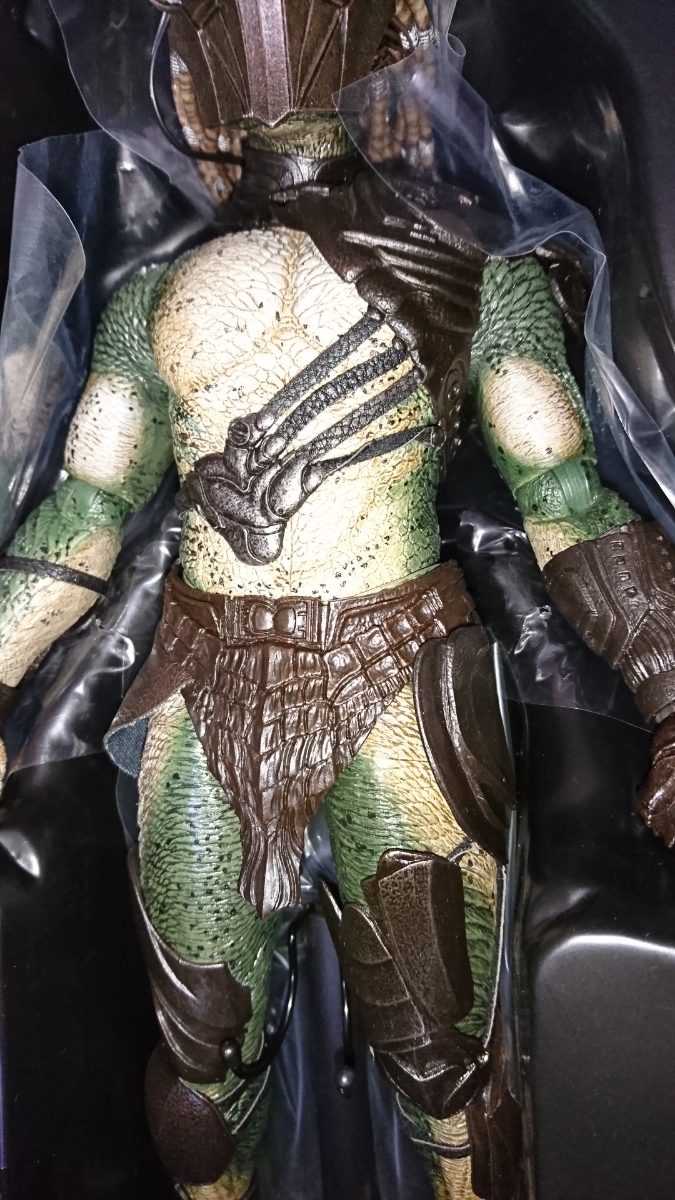 ファルコナープレデター FALCONER プレデターズ PREDATORS ホット