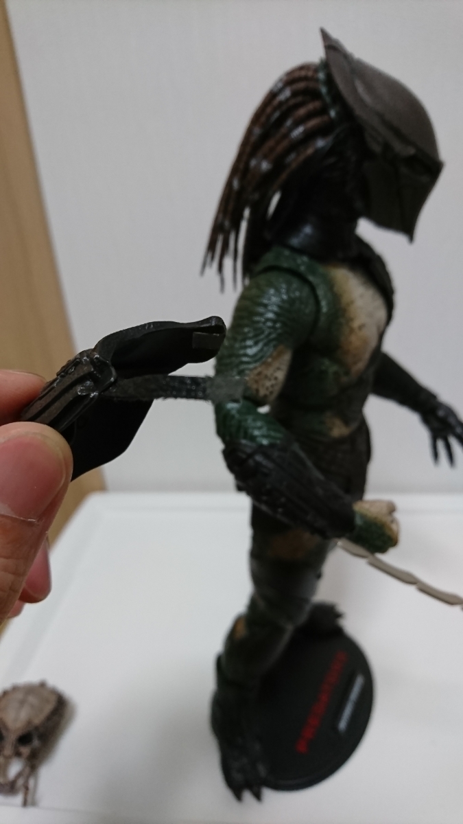 ファルコナープレデター FALCONER プレデターズ PREDATORS ホット