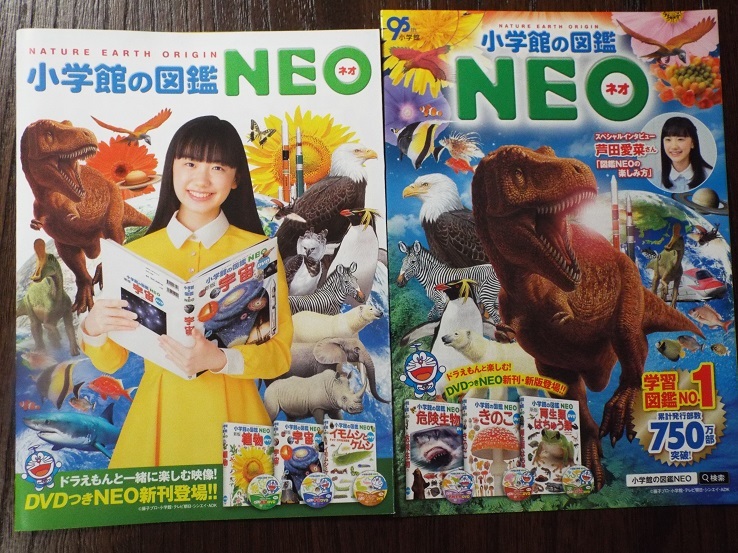 ネオジゴキシンのリーフレット