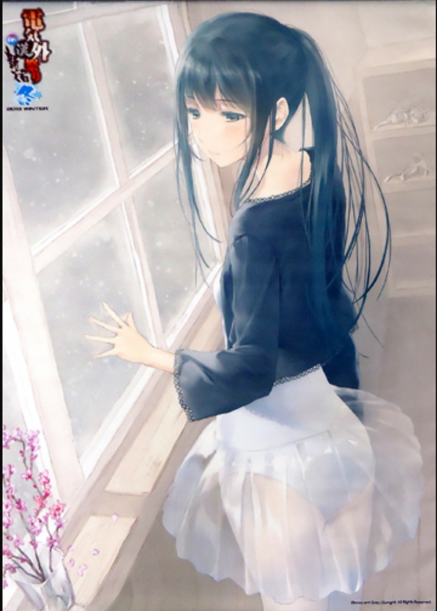 未開封 FLOWERS 白羽蘇芳 タペストリー 電気外祭り 限定 Innocent Grey 