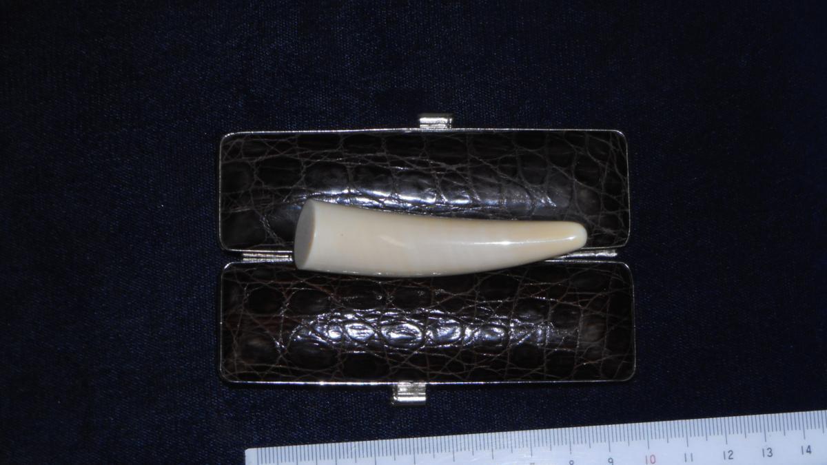 鯨牙印鑑 18mm、4文字彫刻 品質高い本象牙実印(18ミリ丸×60ミリ丈