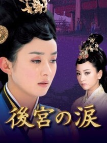 後宮の涙 : 中国ドラマ DVD-BOX 全45話 1＋2 3 おもちゃ DVD-BOX1