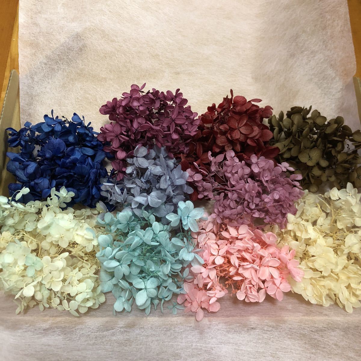 あじさいミックス色セット☆プリザーブド/ハーバリウム_1