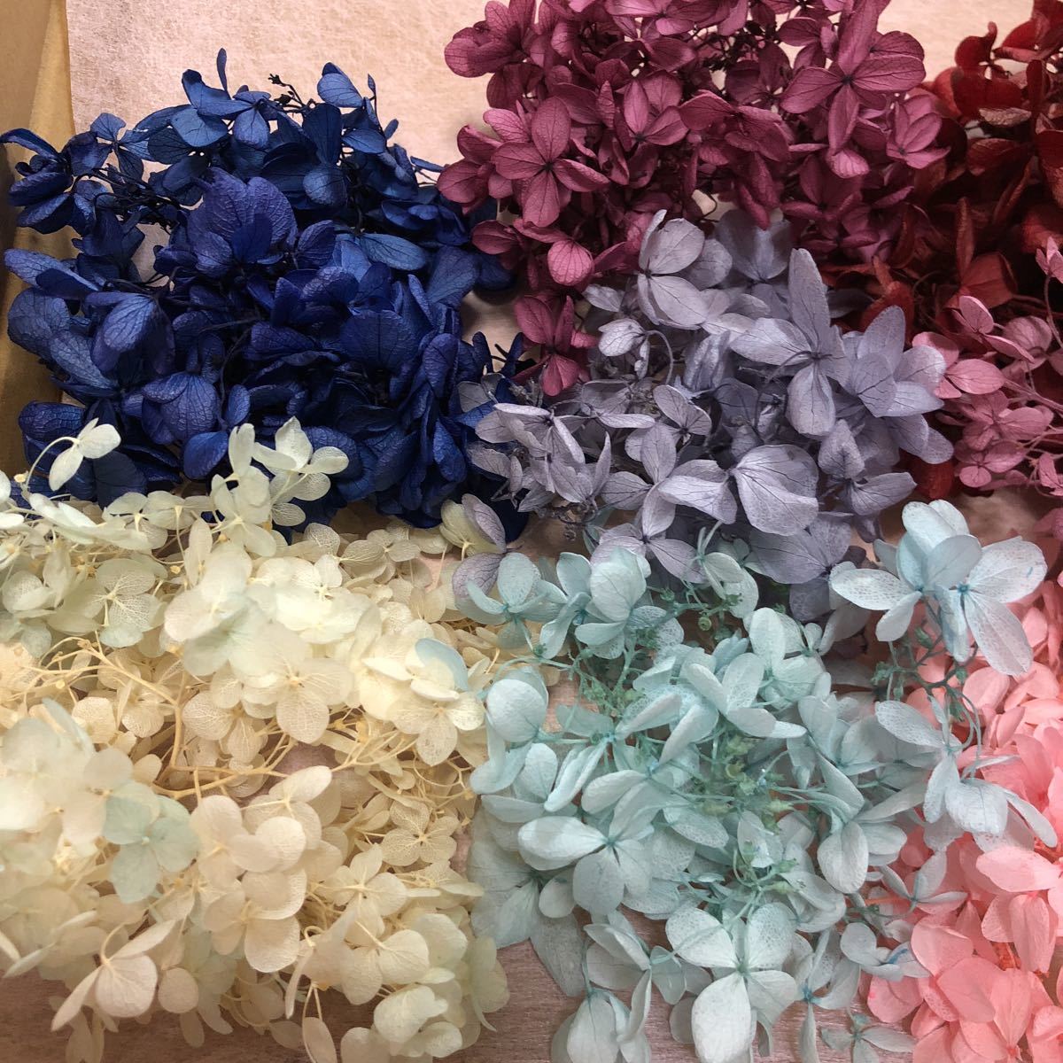 あじさいミックス色セット☆プリザーブド/ハーバリウム_2