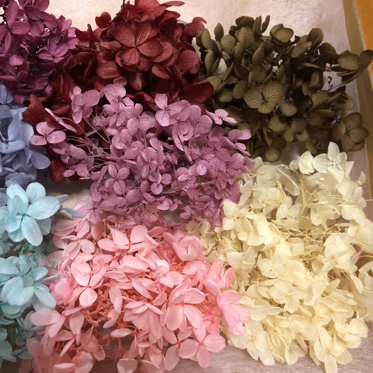 あじさいミックス色セット☆プリザーブド/ハーバリウム_4