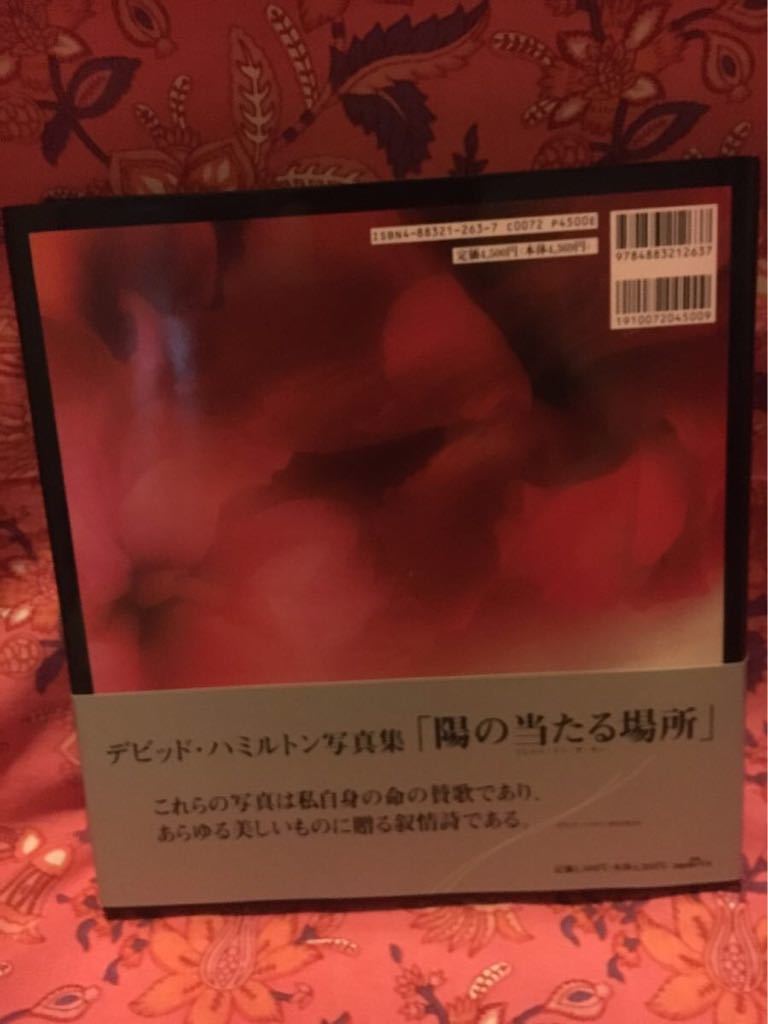David Hamilton 陽の当たる場所―デビッド ハミルトン写真集 大型本