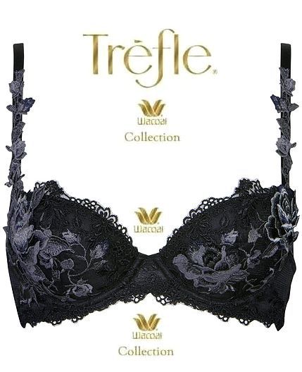 定番，低価 ワコールTrefleトレフル/ローズガーデン豪華薔薇刺繍アップリケ最高級エンブロイダリーレースブラジャーF75黒ブラックBBF497(75)｜売買されたオークション情報、yahooの商品情報をアーカイブ公 Eカップ以上