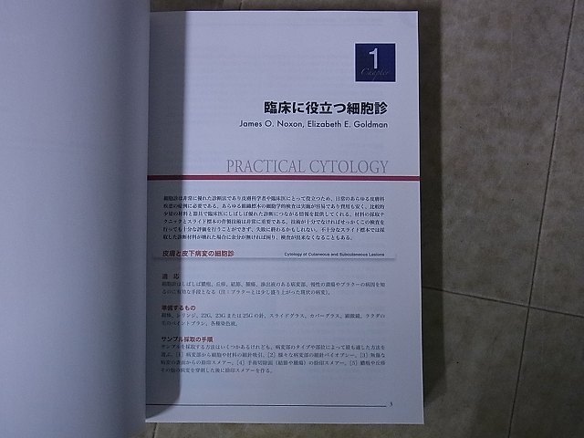 5分間コンサルト 小動物の皮膚病 K.H.Rhodes著 獣医学 2004年発行【10