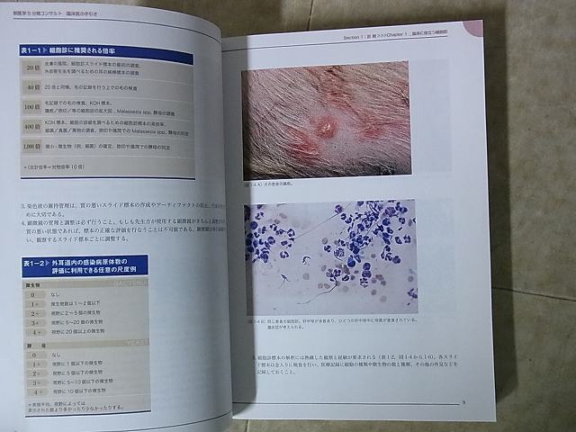 5分間コンサルト 小動物の皮膚病 K.H.Rhodes著 獣医学 2004年発行【10