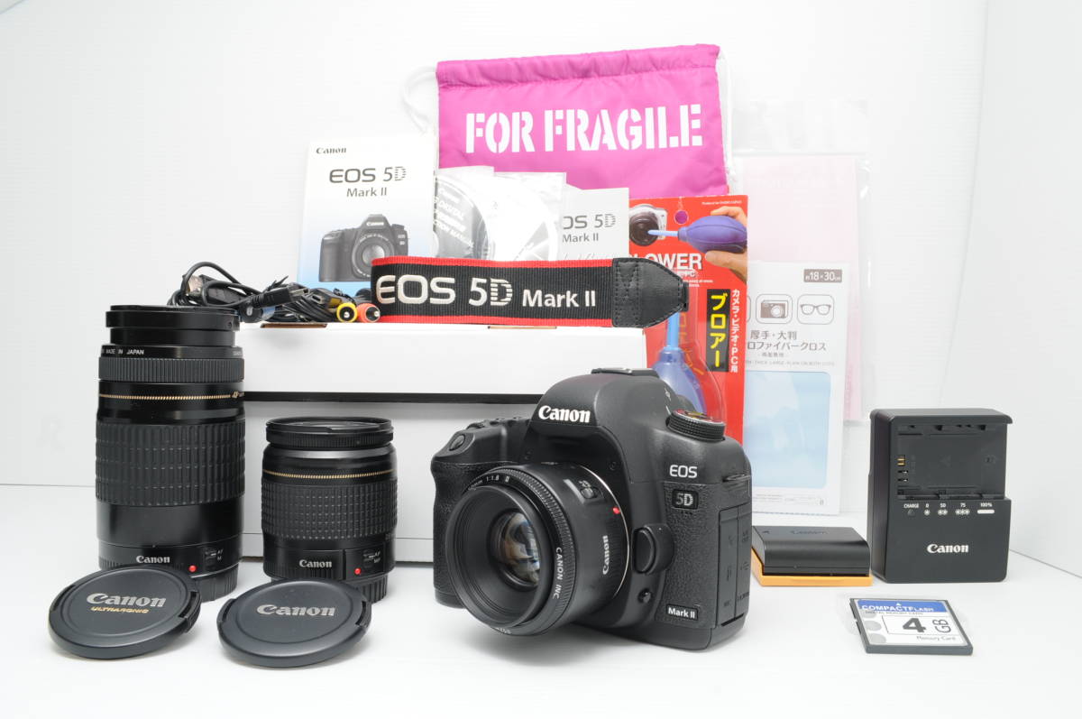 ☆送料無料☆届いてスグ使える☆キャノン 5D Mark Ⅱ 超人気フルサイズ