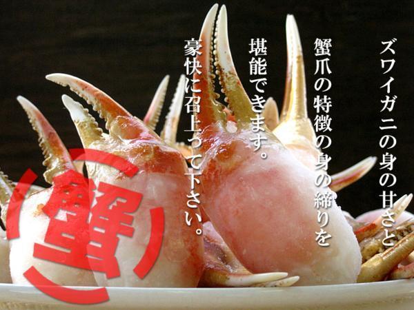 ズワイガニむき爪1kg（ずわい蟹爪）ボイルカニ 貴重なかにツメ かにの女王ズワイがに（解凍するだけで食べれます）訳アリではありません_3