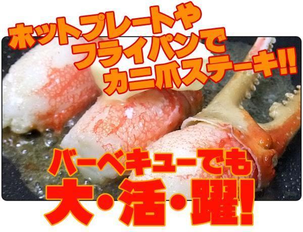 ズワイガニむき爪1kg（ずわい蟹爪）ボイルカニ 貴重なかにツメ かにの女王ズワイがに（解凍するだけで食べれます）訳アリではありません_4