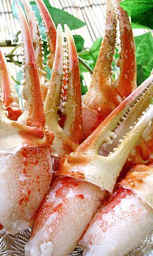 ズワイガニむき爪1kg（ずわい蟹爪）ボイルカニ 貴重なかにツメ かにの女王ズワイがに（解凍するだけで食べれます）訳アリではありません_7