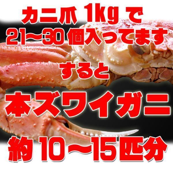 ズワイガニむき爪1kg（ずわい蟹爪）ボイルカニ 貴重なかにツメ かにの女王ズワイがに（解凍するだけで食べれます）訳アリではありません_9