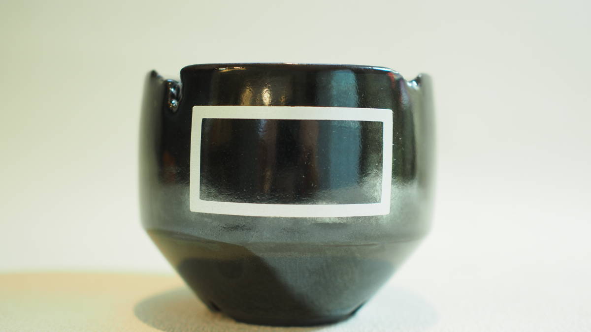 BOTANIZE UNITED ARROWS invisibleink アート 【直営】【公式認証